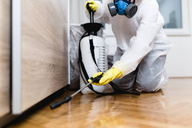 Best Pest Control for Businesses  in Hawthorne, NV