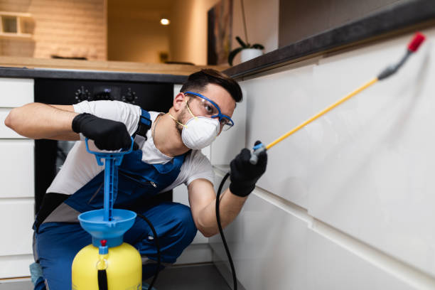 Best Mosquito Control Services  in Hawthorne, NV